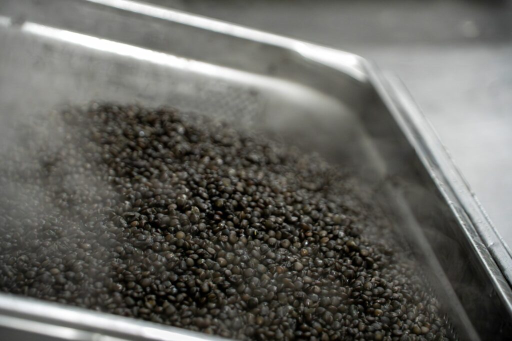 Lentilles noires fumantes dans un bac en inox